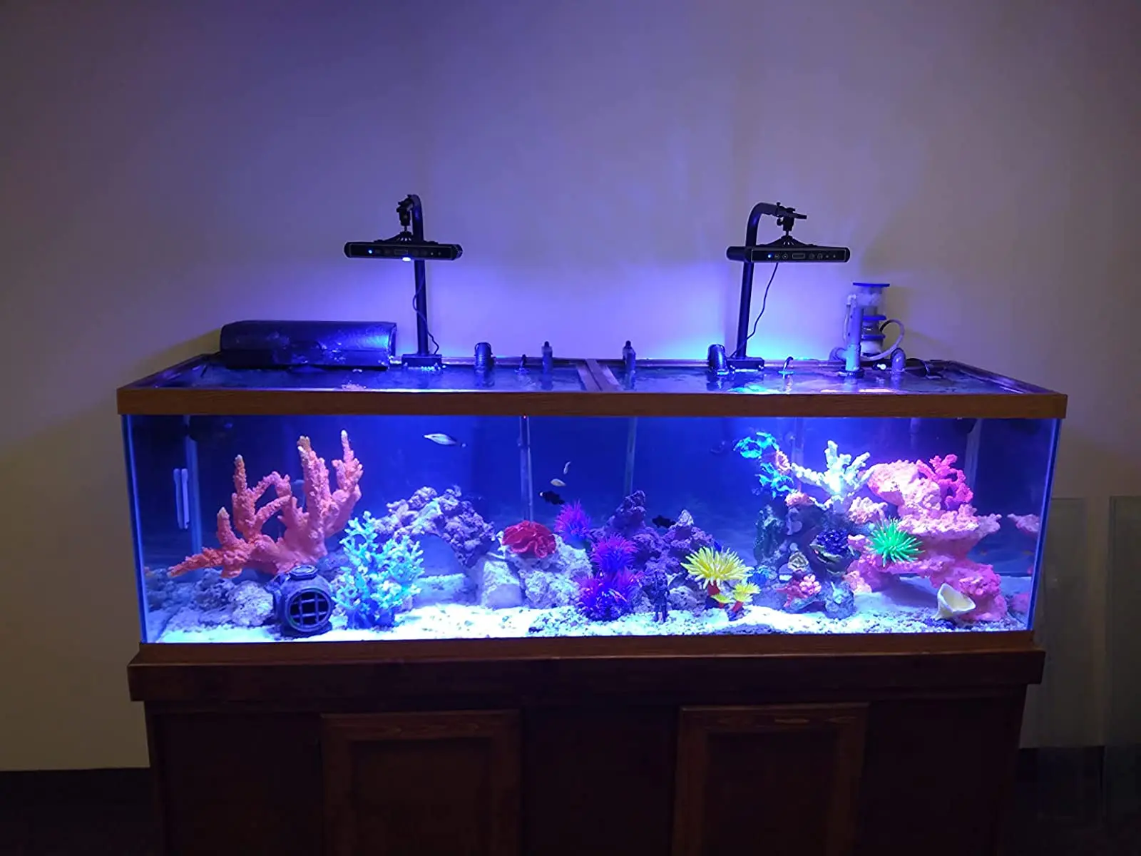 100 Вт Аквариумный светодиодный рифовый светильник, затемняемый морской светодиод полного спектра для аквариумов с коралловыми рыбками в морской воде Изображение 4